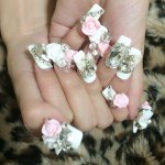 10852811_322795064593854_853970528_a