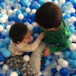 12519339_1726276487601846_287974621_a