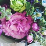 12545290_946603545429563_866147286_a