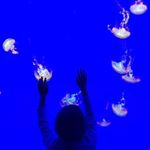 12519160_1076572465726706_2090069321_a