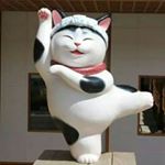 11326393_1625569607732060_120544066_a