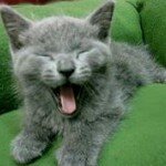 10514121_545758012200572_395687356_a