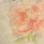 11264622_954529254607017_2053823921_a