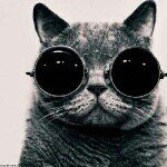 11336101_1474352592865661_1784571634_a