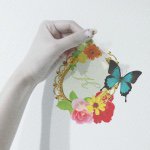 11142350_1608592856023544_304554219_a