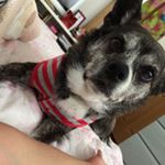 12407637_1688807917997400_1643097872_a