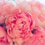 12407278_1533954153598539_388671449_a