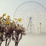 10948736_860682900639499_456246261_a