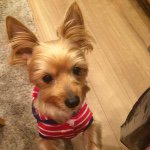 928816_358263101034101_543186889_a