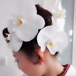 12598973_1676347465971730_209289995_a