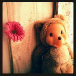 11312479_838281209621056_761075953_a