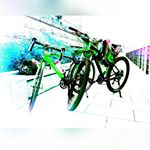 12750363_438796066318965_151482097_a