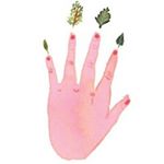 12750130_805569269571797_1053823177_a