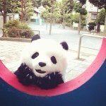 11820564_464882280340417_1940301083_a