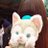 Fx3pbbps_normal
