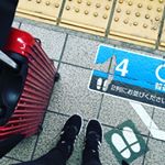 12728543_1020662777977226_458155614_a