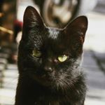 12446023_895850127195944_1356557079_a