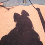 12717109_449697135227744_1719124565_a