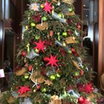 12237515_927284490673073_438624615_a