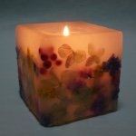 10994995_1539477976327557_1075428559_a