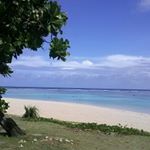 11296773_841229339323859_882710415_a