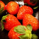 12063231_1641358876114942_1041352017_a