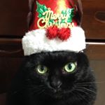 12063249_993989707290439_1001656334_a