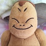 11931035_970793182994497_9009317_a