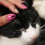 12725145_460369167506068_2138802049_a