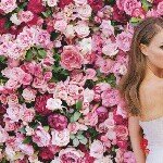 10598178_1449308418663670_309870091_a