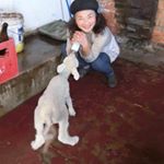 12751166_1531682213828954_49706602_a