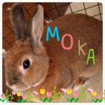 11821143_405863106284977_554571928_a