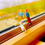 12783187_911343412318390_708178427_a