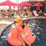 12716586_987207124659918_576614565_a