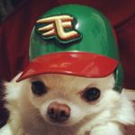 1389051_1666611233611207_1336631842_a