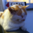 User_icon_normal