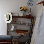 11373827_936044183135645_1475445783_a