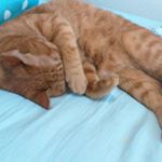 11909987_874422612647468_1596673967_a