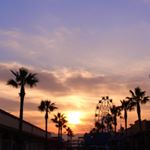 12545364_933260650087723_855971961_a