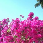 11363918_930672960345816_2056397993_a