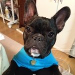 11849381_1614791322110211_613760036_a