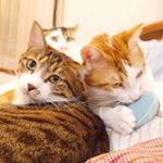 11313574_998675196883714_1493037428_a