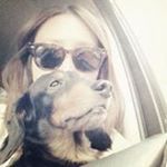 12276922_443658212484467_748677863_a