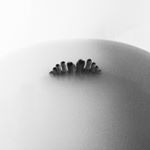 12345898_1531608317154138_1111987775_a