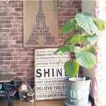 11910466_121351718217994_971932047_a