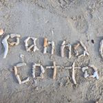 11931034_444834459052887_1544731259_a