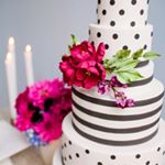 12725160_1852946541598653_1865485981_a