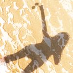 12106218_1672119019741828_427787669_a