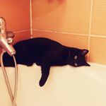 12070647_1002402223135841_664469147_a