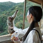 12534459_457764607759526_1653874157_a